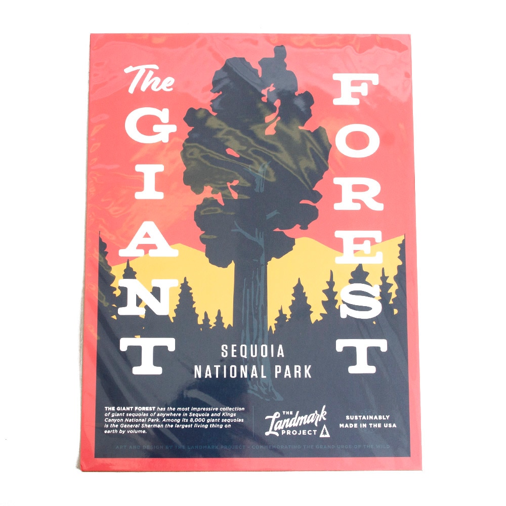 The Landmark Project, Posters, Gifts, 12"x16", Giant Forest, 639148